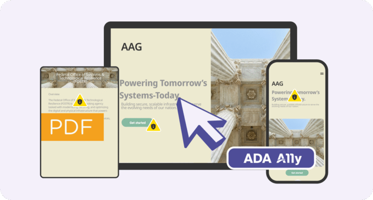 Accessibility Audits
