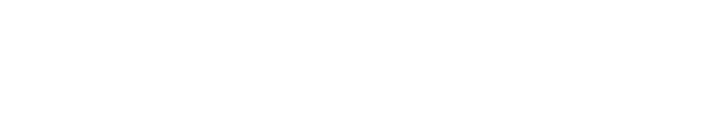 ADA Ally